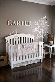 Carter S Owl Nursery Project Nursery Owl Themed Nursery Baby Boy Rooms Baby Bedroom