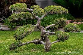 Dazwischen breiten sich pflanzen aus. Die Gestaltungselemente Eines Japanischen Gartens Garten Hausxxl Garten Hausxxl