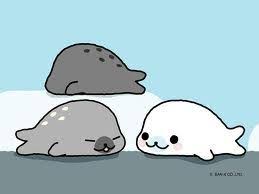 Pin By Debra On Plumpkin Kawaii Drawings Cute Drawings Seal Cartoon Each page is a mini drawing lesson broken down into easy to follow step by step instructions so that any beginner artist. kawaii drawings cute drawings seal