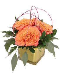 Perhaps one of the reasons why rogers city in northwest arkansas has made it to the best places to live in the country is the same reason why it is the most traveled. Springdale Florist Springdale Ar Flower Shop Springdale Flower Shop