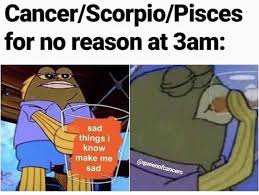 Pin By Vanianillux On Zodiac In 2020 Zodiac Signs Pisces Zodiac Signs Cancer Zodiac Funny