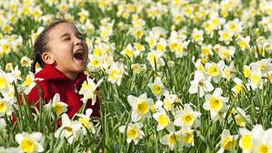 These are rather small perennial flowers that thrive best in the first, prunus avium, can be found in hedgerows and woodlands all throughout ireland. Teach Your Kids The Early Signs Of Spring Activekids