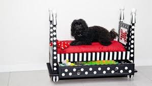 Pin On Cool Pet Ideas