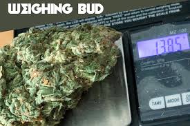 Interestingly, the district of columbia is the most expensive by a significant margin. Best Scales For Weed Weight Measurement Charts Mold Resistant Strains