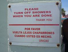 Google Translator Cartelitos Graciosos Gracioso Y Traductor