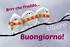 Ho selezionato per tutti voi le 10 immagini di buongiorno invernale perfette da mandare in questa stagione !!!. Immagini Buongiorno Inverno 3 Immaginiwhatsapp It