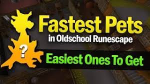 Farming guide introduction farming is a skill in which players plant seeds and harvest crops. Easiest Pets To Get In Osrs Fastest Drop Rate Youtube