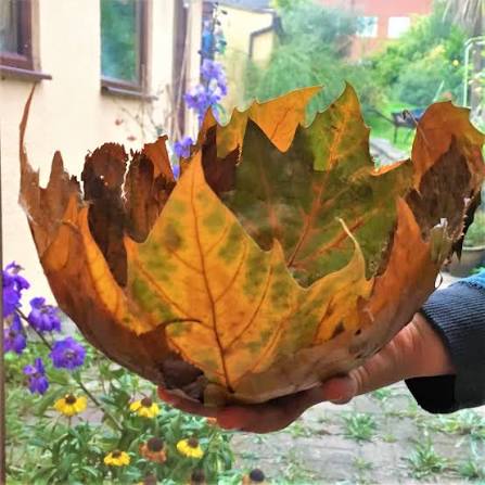 autumn leaf bowl 