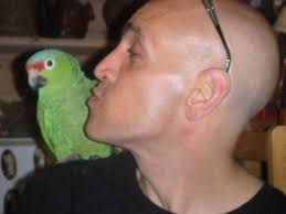 Leo's darling place (easy to miss though so be careful)