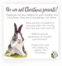 Report any excessive reposts or posts that violate subreddit rules. Also Wanted To Share This Little Bit On Reddit Rabbits