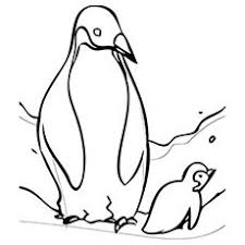 Baby in, baby in coloring page, in, ins, color ins, aquatic bird, flightless bird,cartoon in, baby ins, a cute in, g, in pages, baby pengwinpengupegion, peguins, peguin, pegiun. Penguin Coloring Pages Free Printable For Kids Penguin Coloring Animal Coloring Pages Penguin Coloring Pages