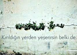 sebnem degim adli kullanicinin hayat panosundaki pin guzel soz resimler siir