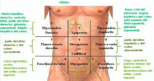Aprende De Una Manera Muy Facil Las Regiones Abdominales Y Los Organos Que Aloja Asi Como El Abordaje Del Notas De Enfermeria Abdominales Cosas De Enfermeria