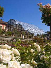 Das Palmenhaus Auf Der Insel Mainau Im Sommer Weisse Rosen Insel Mainau Bodensee Urlaub Bodensee