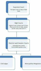 Flow Chart Of Judiciary Brainly In