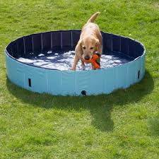 Top 9 Des Accessoires Pour Chien En Ete Magazine Zooplus