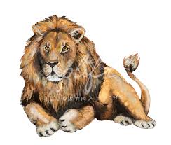 Magic Collection Gryffindor Lion Gryffindor Slytherin Snake Illustration