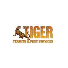 Swimming with sand (pool grade de in this case) should be totally fine. Real Estate Wdo Inspections Ormond Beach Fl Tiger Termite And Pest