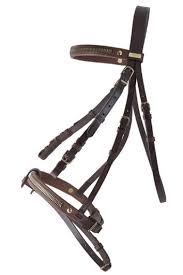 My8 Horse Equipement And Accessories Site Officiel D Equipement Chevaux Chiens Et Hommes Equipement Cheval Cheval Equipement Equitation