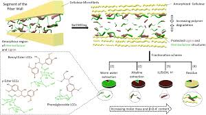 The plant cell wall is made up of cellulose this is believed to be. Deciphering Lignin Heterogeneity In Ball Milled Softwood Unravelling The Synergy Between The Supramolecular Cell Wall Structure And Molecular Events Green Chemistry Rsc Publishing Doi 10 1039 D0gc04319b