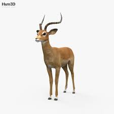 3d Model Of Impala Hd In 2020 3d Model Impala Animals