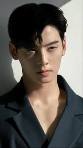 100 Cha eun woo ideas