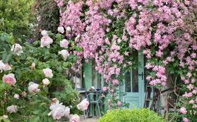 We did not find results for: How To Plant Climbers A Beginner S Guide To Planting Clematis Roses And More The Telegraph