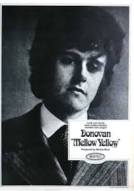 And Now It's All This !: Elevator In The Brain Hotel