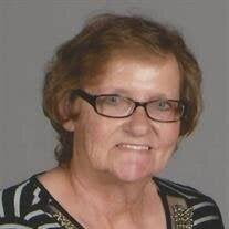 Janet Sue (Klement) Fisher Obituary