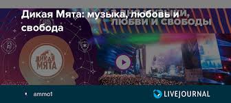 «дикая мята» проводится с 2008 года. Dikaya Myata Muzyka Lyubov I Svoboda Ammo1 Livejournal