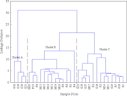 Image result for Androstachys