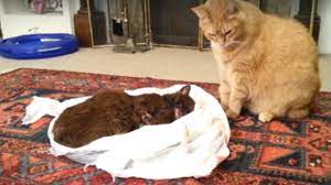 pin auf schon traurig bewegend