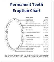 Dental Charting Tooth Surfaces Www Bedowntowndaytona Com