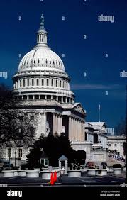 Image result for Gray 1990 US Government