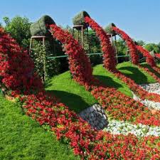 Asi Es El Jardin De Flores Mas Grande Del Mundo Fotos Miracle Garden Beautiful Gardens Flower Garden