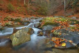 La ordonanța de urgență a guvernului nr. Protected Areas Custodians Nature Guards Removed By The Government