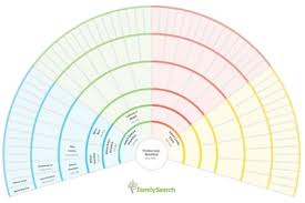 25 Comprehensive Familysearch Fan Chart
