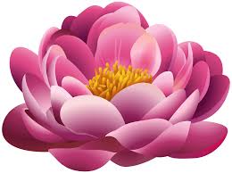 Beautiful Pink Flower Png Clipart Image Gallery Yopriceville High Quality Images And Transparent P Flower Clipart Beautiful Pink Flowers Flower Png Images