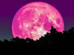 Supermond fotos, supermond bilder supermond fotografie zur website kostenlose fotos und freie bilder kostenlose bilder für den persönlichen. Hellster Supermond Des Jahres Pinker Vollmond Im April
