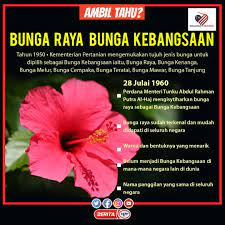 Sejarah bunga kebangsaan di negara kita 1958 penggunaan bunga raya sebagai lambang kemegahan jabatan penerangan kementerian pertanian kementerian pertanian mengemukakan 7 jenis bunga untuk dipilih iaitu, bunga kenaga, bunga melor, bunga teratai, bunga cempaka, bunga. Facebook