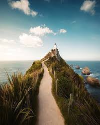 Wenn sie hier ein foto posten, wird es unter. Nugget Point Lighthouse Captured By Emmett Sparling Neuseeland Reisen Geniessen