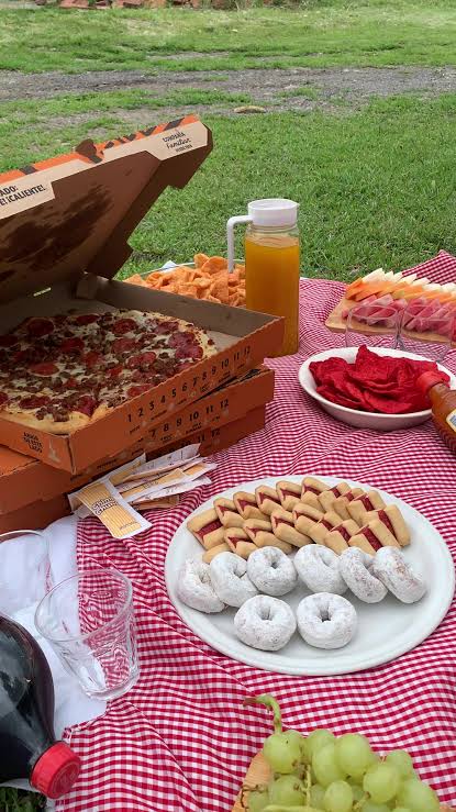 Perfect Picnic Ideas for Outdoor Fun | TikTok