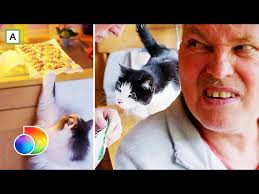 Vi ser at trafikken øker med opptil 800 % i reklamepausene. Discovery Plus Norge Litetube