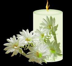 GIFS HERMOSOS: velas encontradas en la web | Beautiful candles, Candle  fire, Candle gif