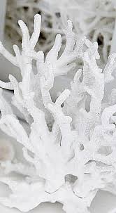 Coral reef restoration training course nusa penida & nusa lembongan. Make Faux Coral Inspired By Pottery Barn Pottery Barn Diy Pottery Barn Hacks Coral Decor