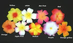 Http Www Jadefashion Com Shop Images Name Form Jpg Hawaiian Flowers Flower Names Hawaiian Plumeria 17 best images about hawaiian flowers on pinterest. http www jadefashion com shop images