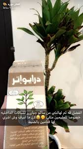 Pin By Latifa On حدايق Plant Decor Flower Truck Best Indoor Plants