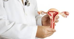 Vaksinasi hpv membuat tubuh membentuk antibodi terhadap virus hpv sehingga virus yang masuk akan mati dan tidak sampai menimbulkan kanker serviks serta kutil. Vaksin Hpv Archives Rumah Sakit Panti Rapih