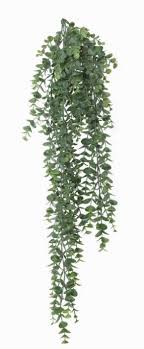 Or best offer +$7.75 shipping. General Eclectic Artificial Plant Silver Dollar Vine 78cm At Mighty Ape Australia