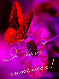  Gif Paradise Butterfly Photos Butterfly Gif Flower Wallpaper